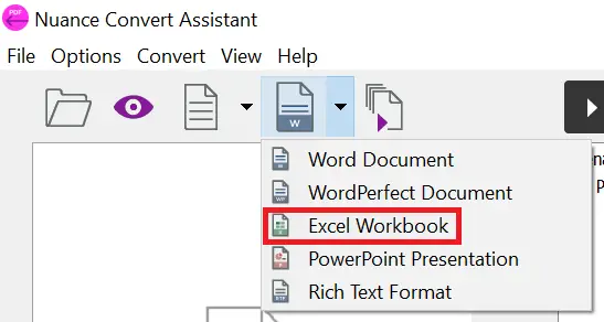 Nuance Convert Assistant - Excel format